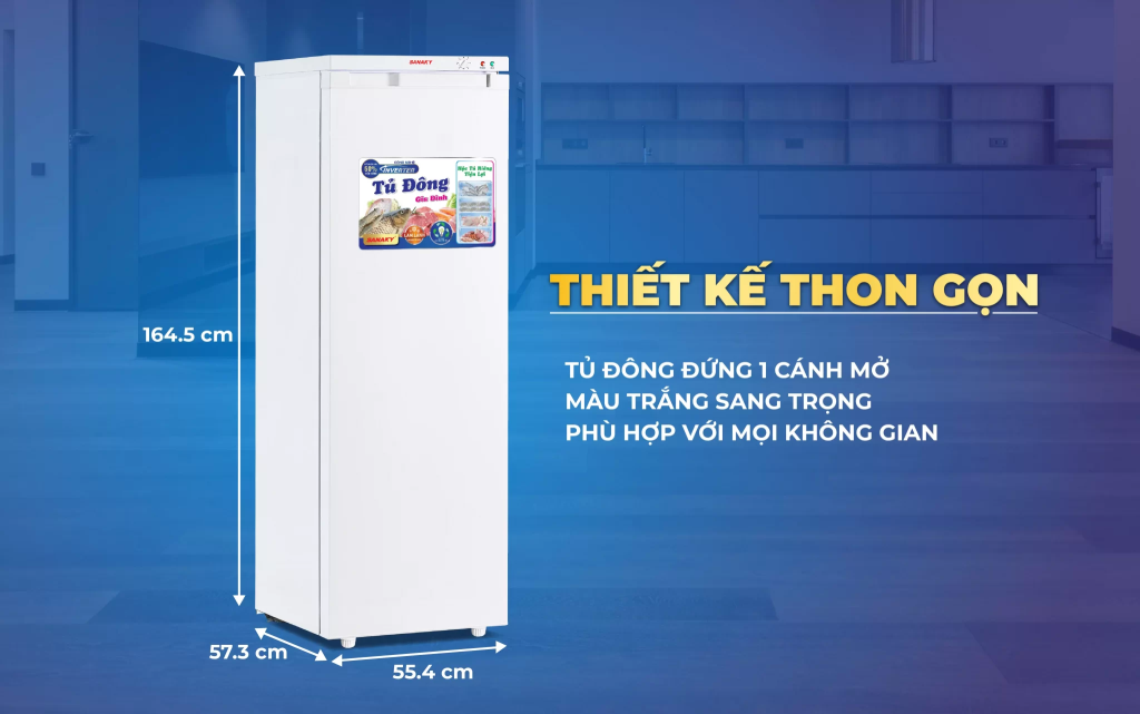 Tủ đông Sanaky 230VD3 kích thước